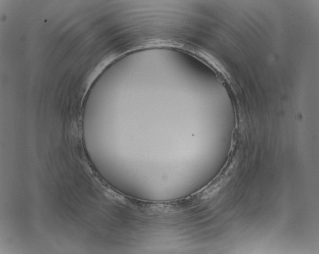 X0000073971097200609181445