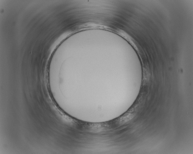 X0000073971098200609181445