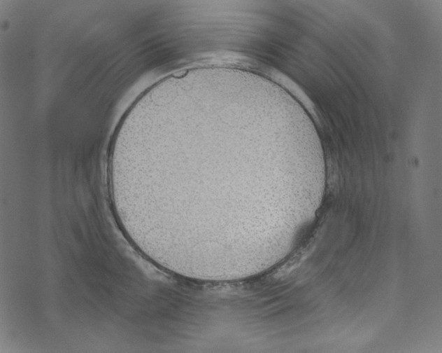 X0000073971099200609181445