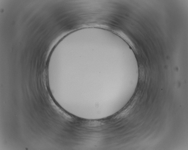 X0000073971100200609181445