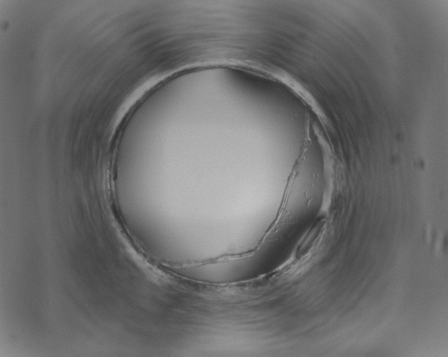 X0000073971101200609181445