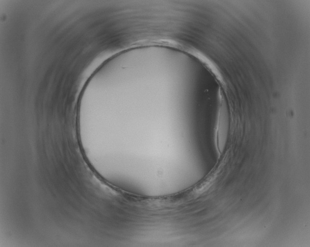 X0000073971102200609181445