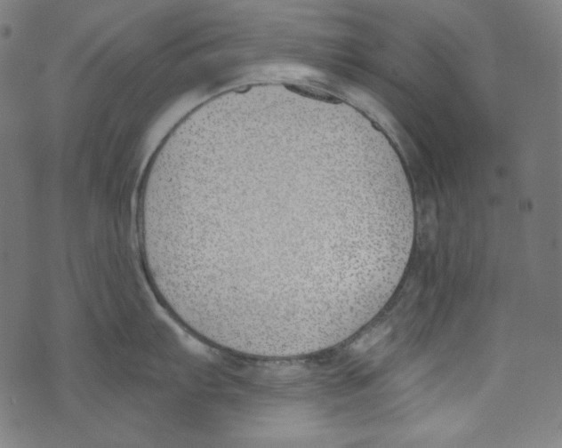 X0000073971103200609181445