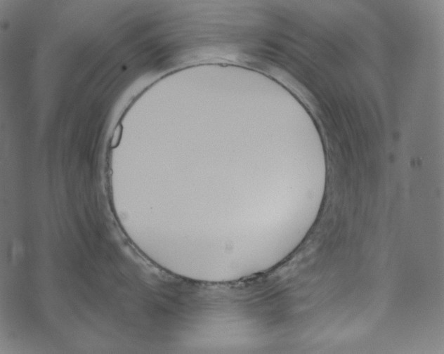 X0000073971104200609181445