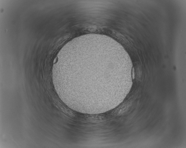 X0000073971105200609181444