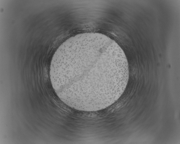 X0000073971106200609181444