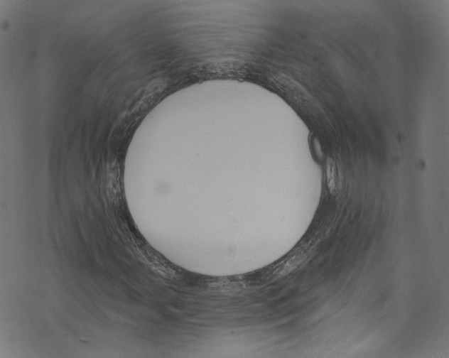 X0000073971107200609181444