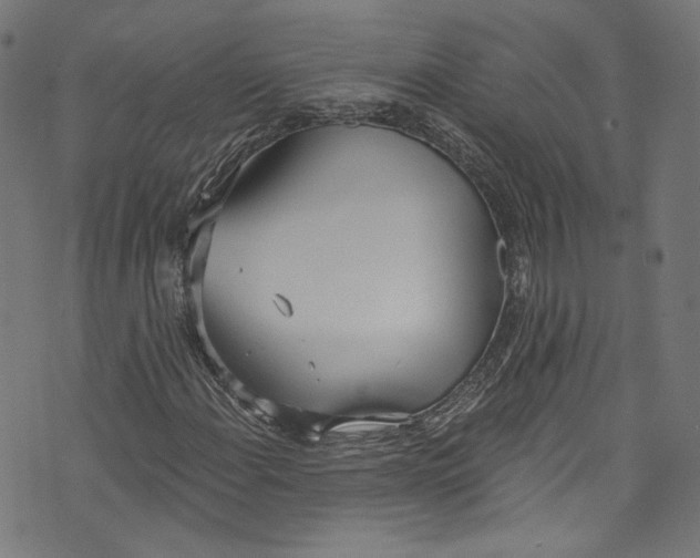 X0000073971108200609181444