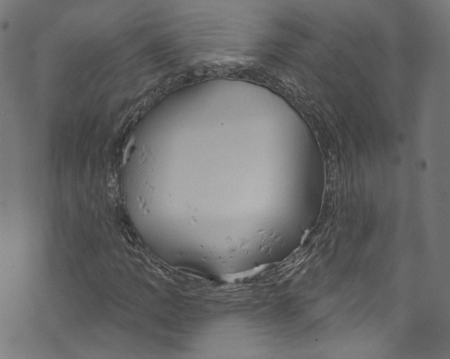 X0000073971109200609181444