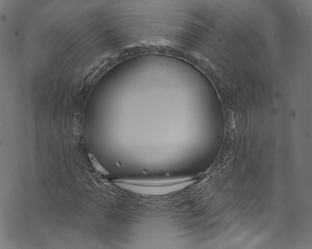 X0000073971110200609181444