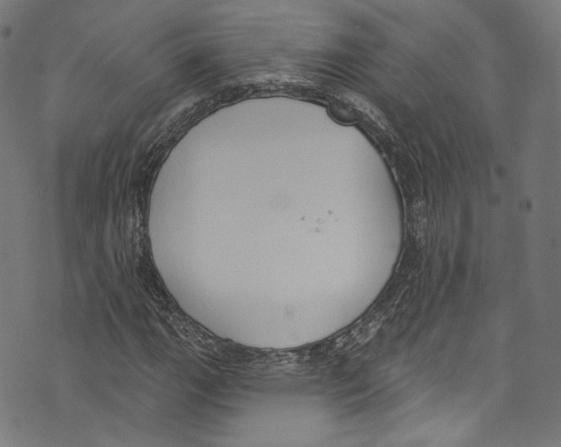 X0000073971111200609181444