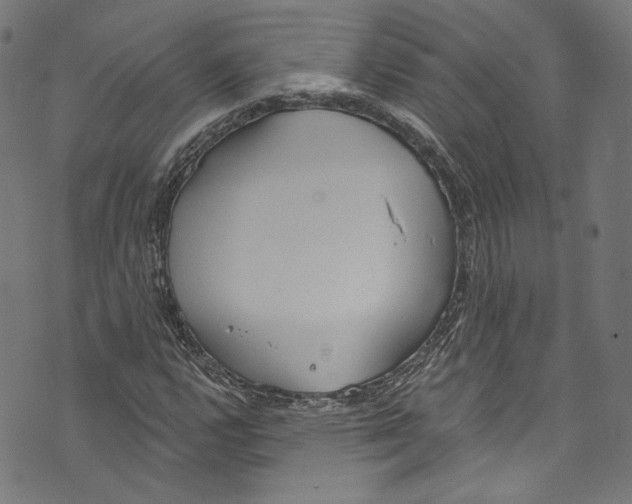 X0000073971112200609181444