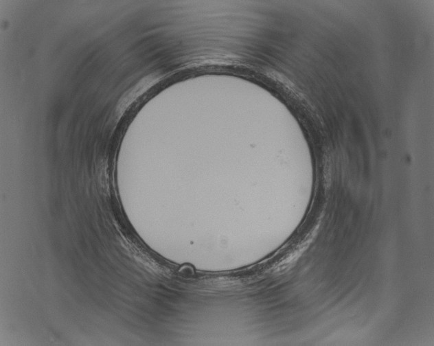 X0000073971113200609181444