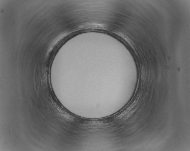 X0000073971115200609181444