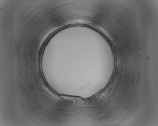 X0000073971116200609181444