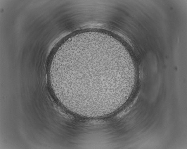 X0000073971117200609181444