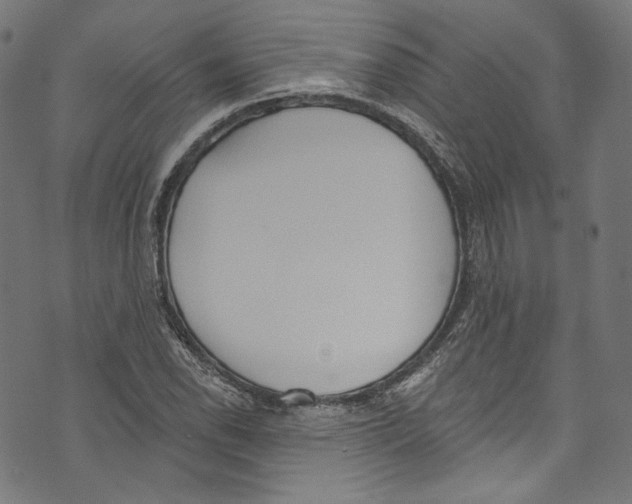 X0000073971118200609181444