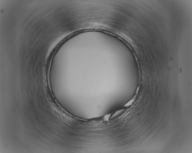 X0000073971120200609181444