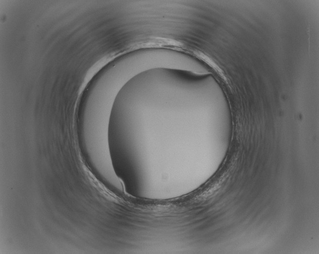 X0000073971122200609181444