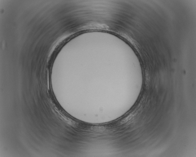 X0000073971123200609181444