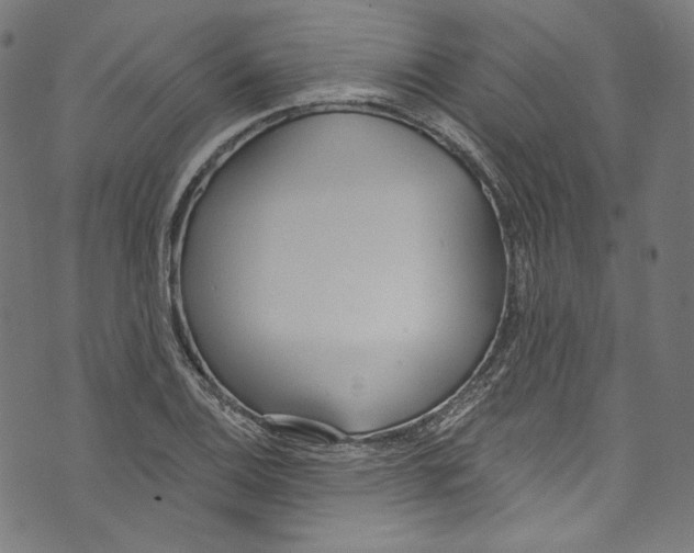 X0000073971124200609181444