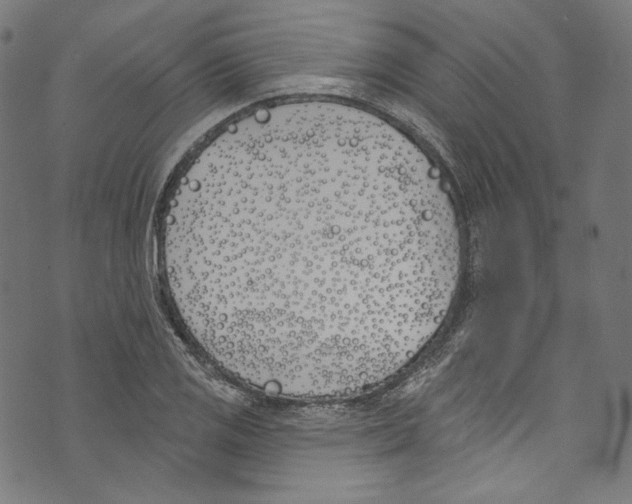 X0000073971125200609181444