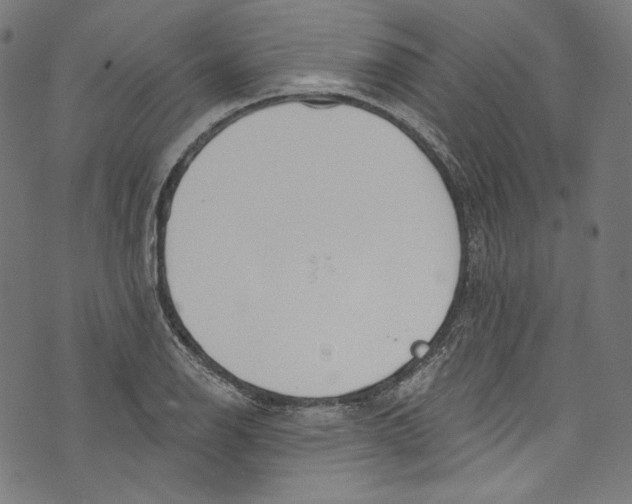 X0000073971126200609181444