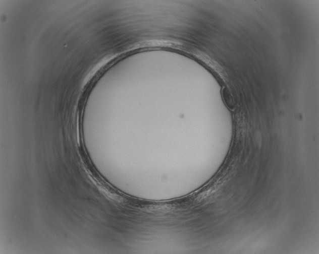 X0000073971127200609181444