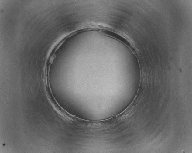 X0000073971128200609181445