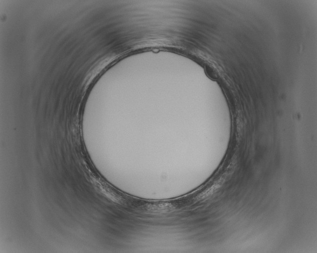 X0000073971129200609181445