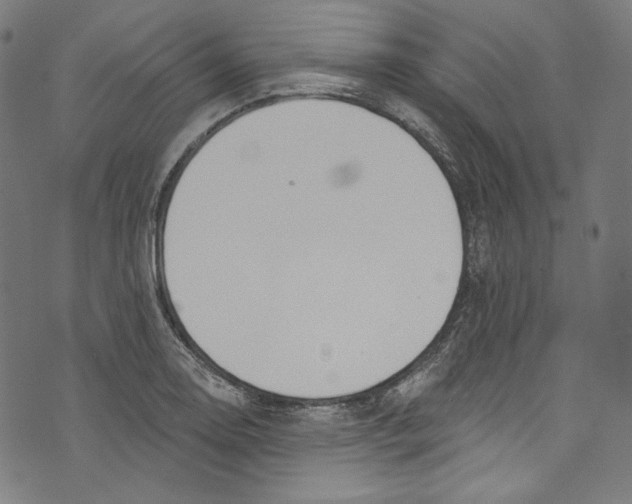 X0000073971130200609181445