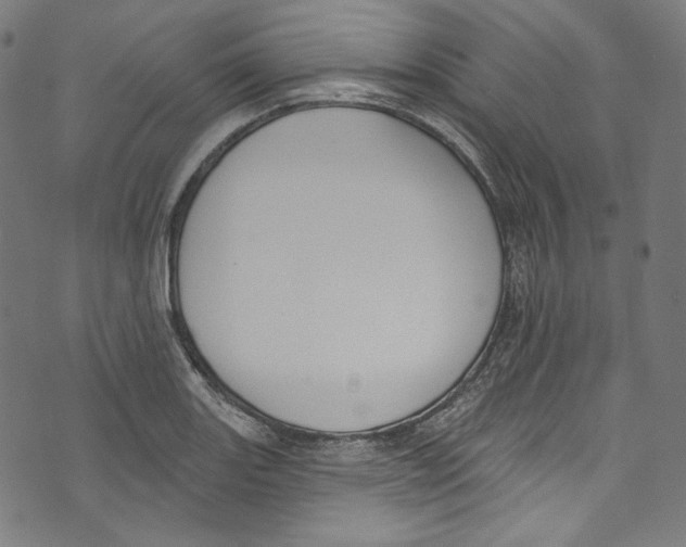 X0000073971131200609181445