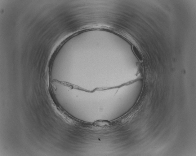 X0000073971132200609181445