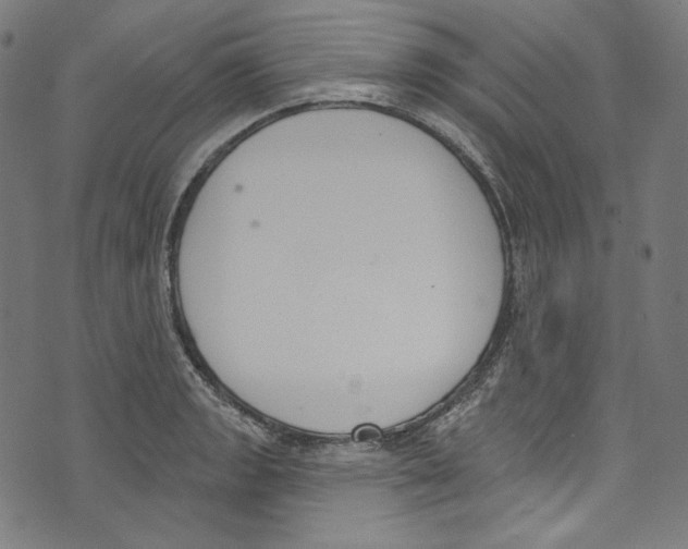 X0000073971133200609181445