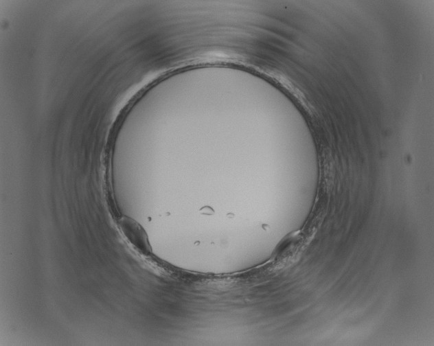 X0000073971134200609181445