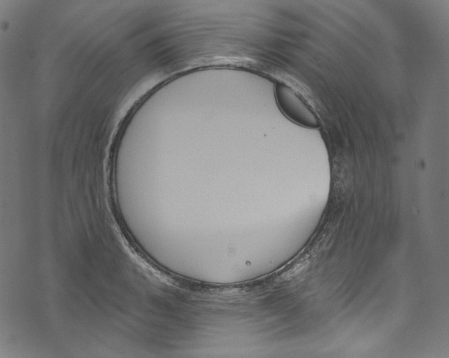 X0000073971135200609181445