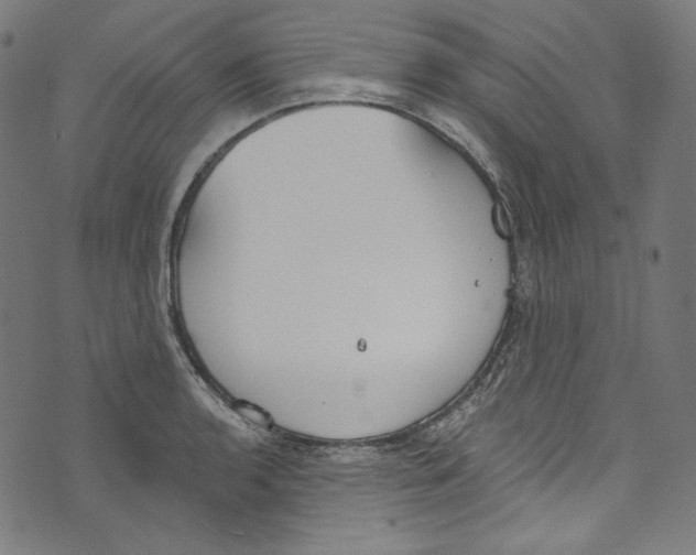 X0000073971136200609181445