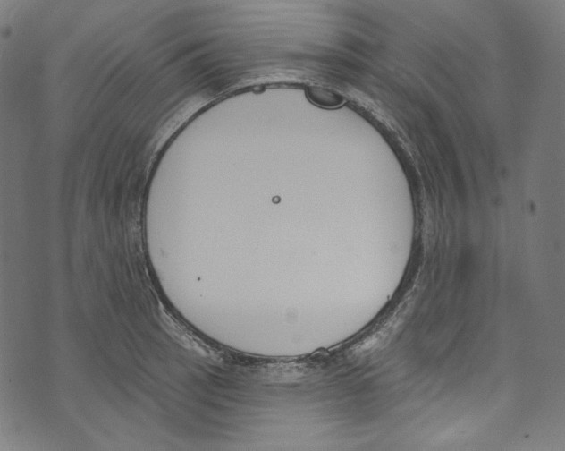 X0000073971137200609181445