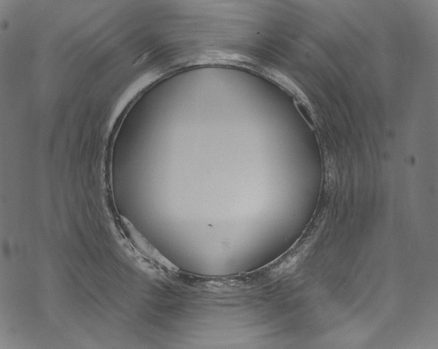 X0000073971138200609181445