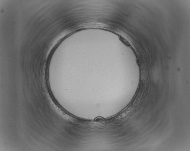 X0000073971139200609181445