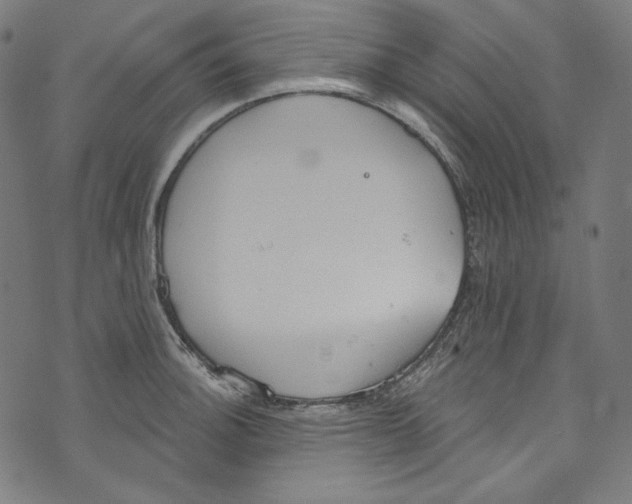 X0000073971140200609181445