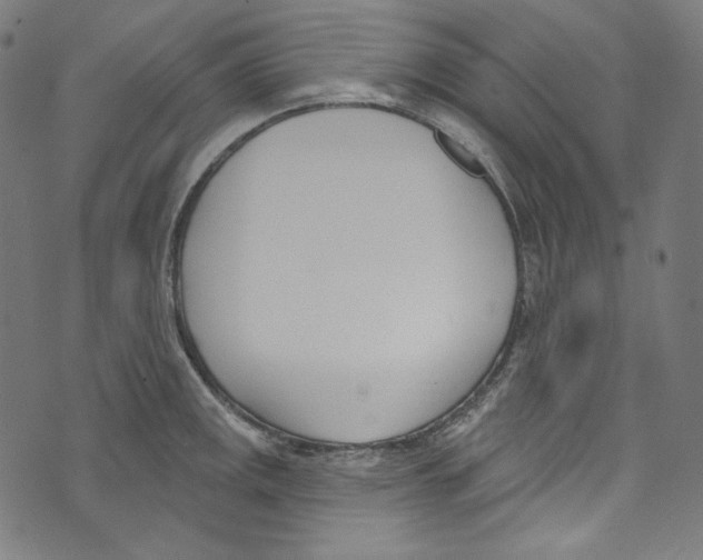 X0000073971141200609181445