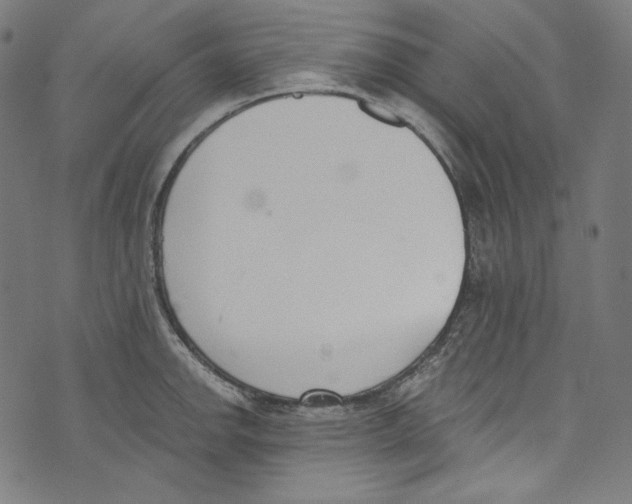 X0000073971142200609181445