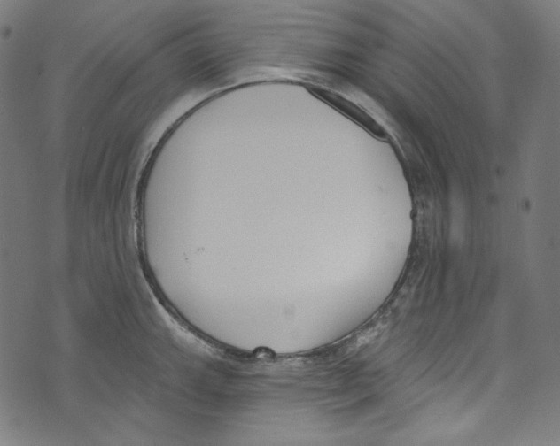 X0000073971143200609181445