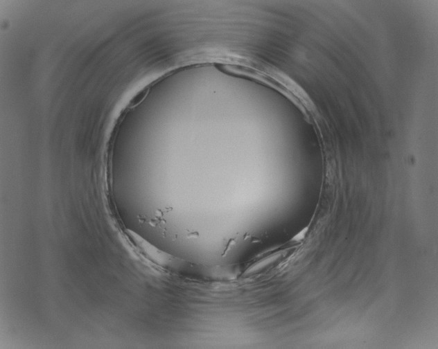 X0000073971144200609181445