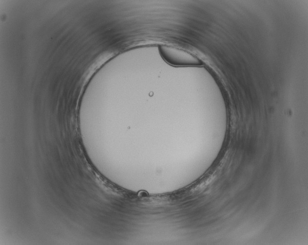 X0000073971145200609181445