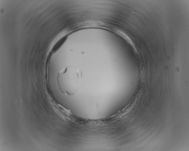 X0000073971146200609181445