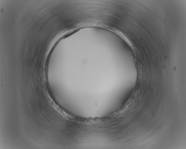 X0000073971148200609181445