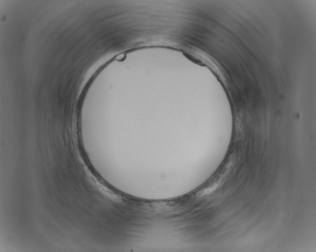 X0000073971149200609181445