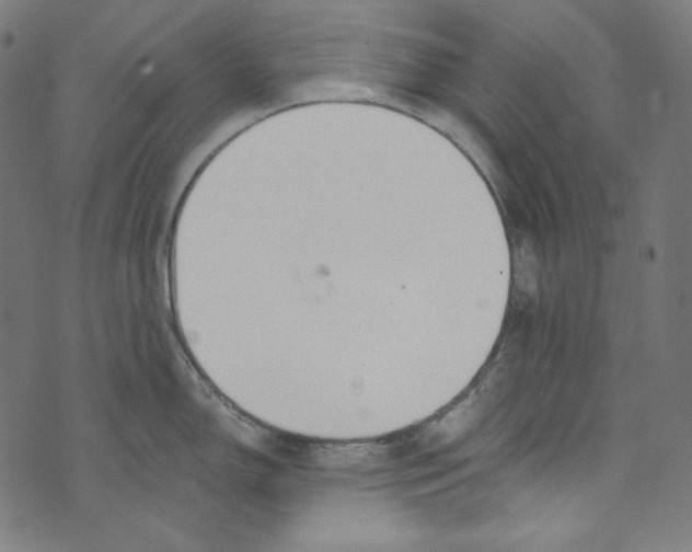 X0000073971150200609181445